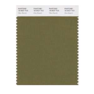   SMART 18 0527X Color Swatch Card, Olive Branch