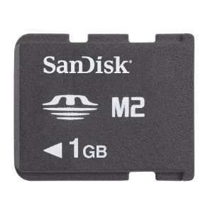   Stick Micro M2 Card (SDMSM2 001G, Bulk)