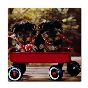  Cute bandana puppies Ceramic Tile Coaster Great Gift Idea 