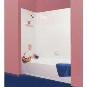  American Shower And Bath One Piece Seamless Tub Surround 