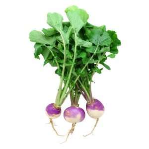  Turnips, Purple Top 1 Lb. Patio, Lawn & Garden