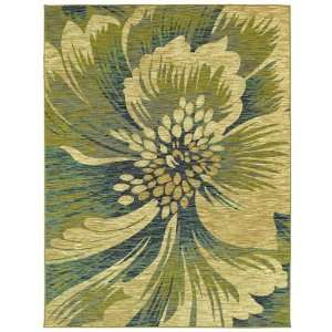   Cicily Light Multi 11110 5 x 7 9 Area Rug