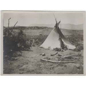  Reprint Tipi. undated