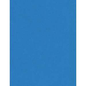  130lb Card Stock   8 1/2 x 11   Bulk   So Silk Fair Blue 