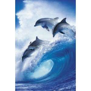  Animals Posters Lassen   Into The Blue   61x91.5cm