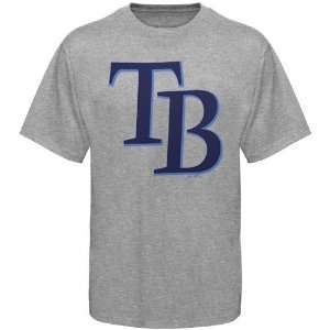  Majestic Tampa Bay Rays Ash Official Logo T shirt Sports 