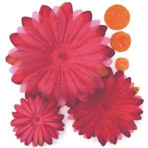 Daisies & Middles 3/Pkg Red 