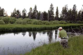 the upper williamson river is home to four pound brook trout and large 