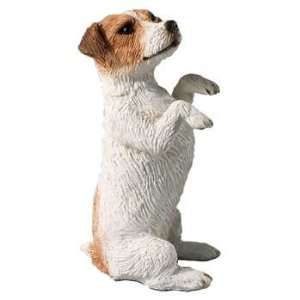  Jack Russell Terrier   Small Size 