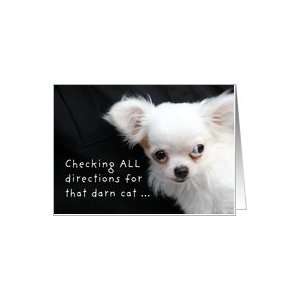That Cat Creeps Me Out You Know, Funny Little Wary Dog Photograph Card