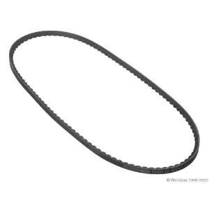  Conti W1002 33073   V Belt Automotive