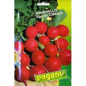  Pagano 3445 Radish (Ravanello) Tondo Ciliegia Seed Packet 