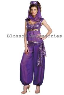 E20 Arabian Genie Aladdin Fancy Dress Up Costume Ladies  