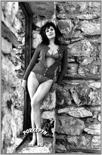 Raquel Welch is FATHOM   8x10 posed #1  