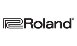 Roland C 200 Classic Organ  