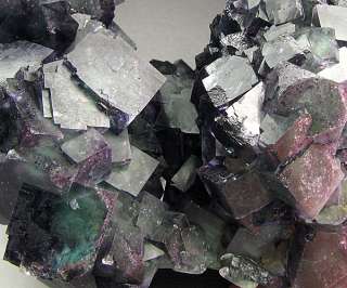   knobs of fluorite cubes show zoning of pale green to red purple