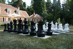 Please note that the Garden Chess Pieces do not include a playing 