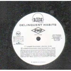  Lower Eastside Delinquent Habits Music