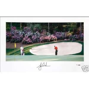 Woods Picture   Masters Azalea #13 Panoramic UDA LE   Autographed Golf 