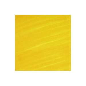  * Copic Sketch Y19 Napoli Yellow Marker Toys & Games