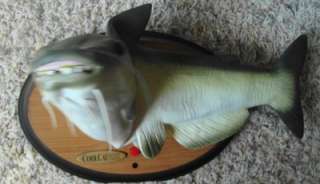 COOL CATFISH MOTION ACTIVATED SINGING FISH 14 MOUNTED Makers of Blly 
