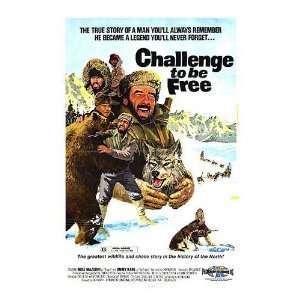  Challenge To Be Free Original Movie Poster, 27 x 40 