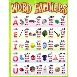   Teacher Created Resources Word Families Chart (7715)