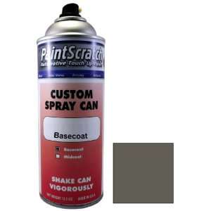 Oz. Spray Can of Polished Gray Metal Metallic Touch Up Paint for 2011 