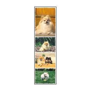  Pomeranian Stickers   Strip of 4 Toys & Games