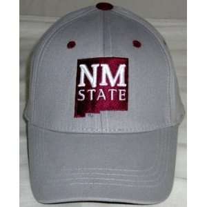  New Mexico State Aggies Youth Team Color One Fit Hat 