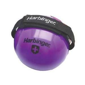  Harbinger 8 LB. Weighted Fitness Ball w/ Velcro Sports 