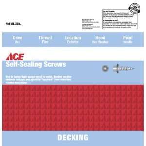  Ace Hex Self Sealing Screws (192 9X2 25)