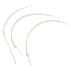  White Biot Feathers   Adult Crafts & Floral Supplies Arts 