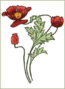 Poppy Blossoms machine embroidery designs set 5x7 hoop  