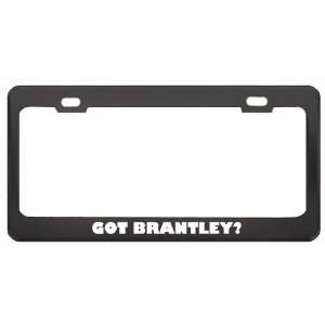 Got Brantley? Last Name Black Metal License Plate Frame Holder Border 