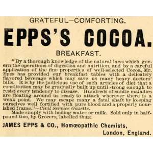   Cocoa Homeopathic Chemist   Original Print Ad