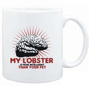   Lobster is more intelligent than your pet  Animals