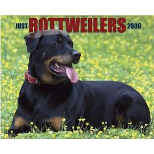  Just Rottweilers 2009 Calendar From Willow Creek