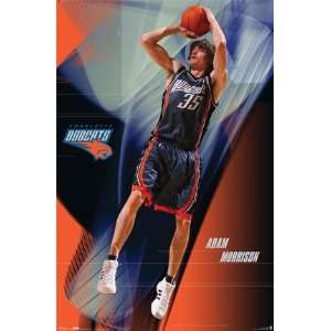  Charlotte Bobcats Adam Morrison 22.5X34 Poster 4195 