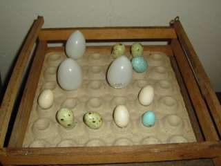 Antique Vintage Wood Egg Crate W/Inserts & Some EGGS  