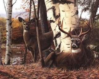 BUCK AND DOE Wildlife Kevin Daniel Framed Picture Print  