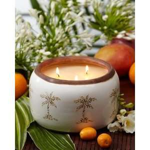  Tommy Bahama Ceramic Poured 3 Wick Candle
