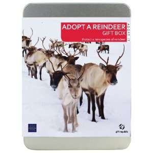 Adopt A Reindeer Gift Box  Grocery & Gourmet Food