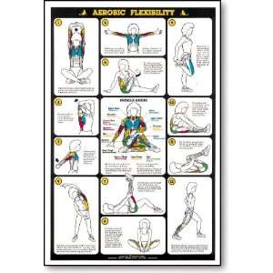  Aerobic Flexibility Fitness Chart