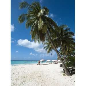  Carib Beach, Barbados, Windward Islands, West Indies 