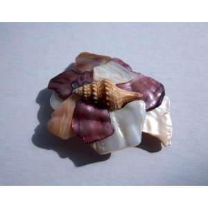  Hand Made Seashell Barrette Beauty