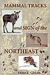   Northeast, (158465242X), Diane K. Gibbons, Textbooks   