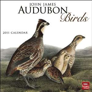   John James Audubon Birds 2011 Wall Calendar 12 X 12