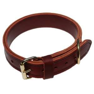  Signature K9 1 1/2 Inch Agitation Collar, Burgundy