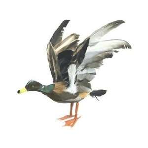   Accents Wildlife Bird Mallard Duck 8 Flying with Wings Up, Feather